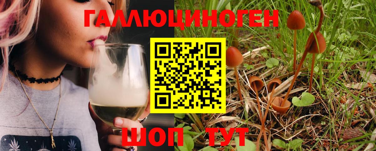 Галлюциногенные грибы Psilocybine cubensis  Псилоцибиновые грибы Psilocybine cubensis  Вход с VPN  Воскресенск 