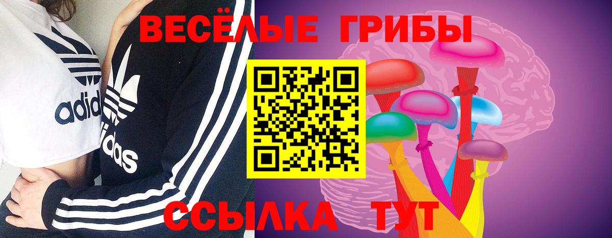 Псилоцибиновые грибы Psilocybe Воскресенск