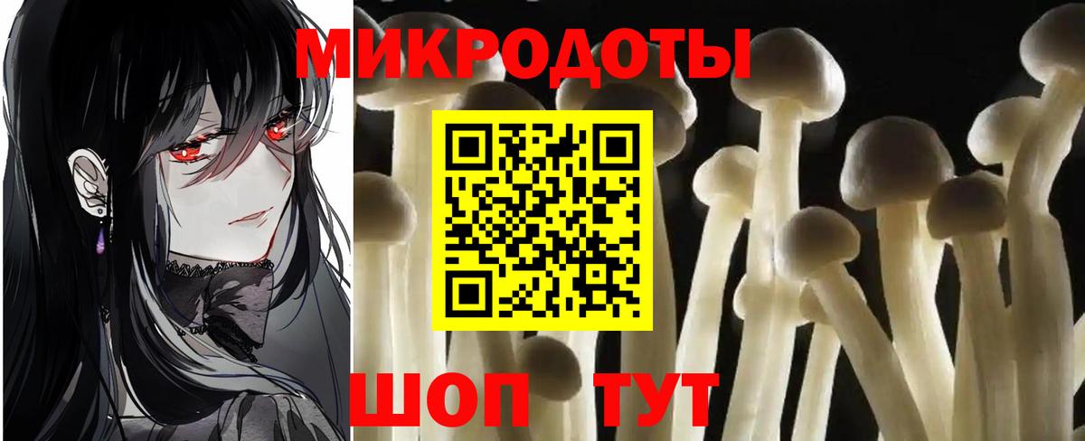 Галлюциногенные грибы Psilocybe  Воскресенск  Псилоцибиновые грибы мухоморы 